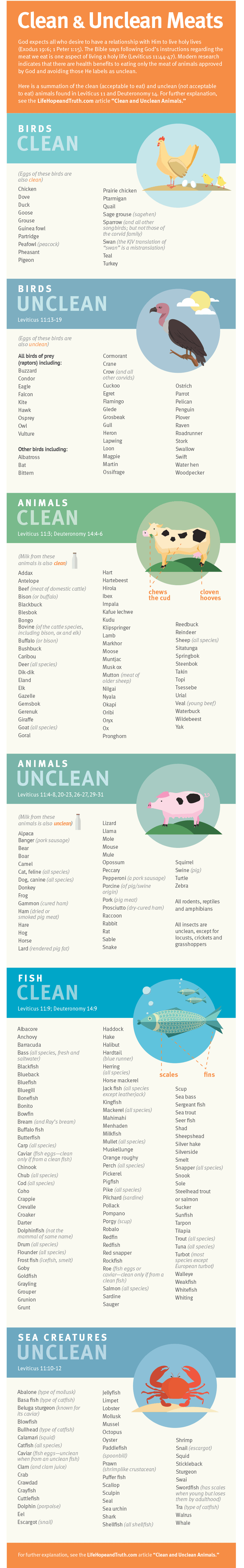 clean-and-unclean-animals-the-christian-guide-to-protein-tylerinloes