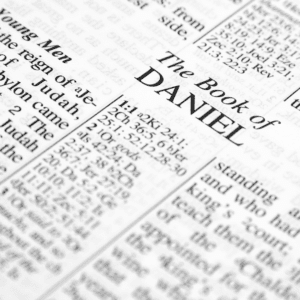 Daniel Plan vs Daniel Fast